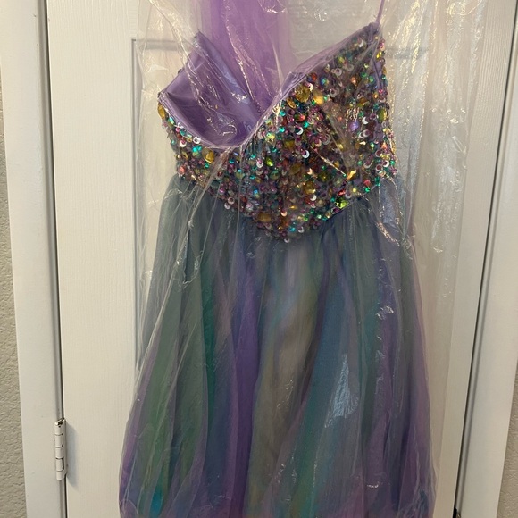 Cinderella Prom/Homecoming Dress - Picture 3 of 10